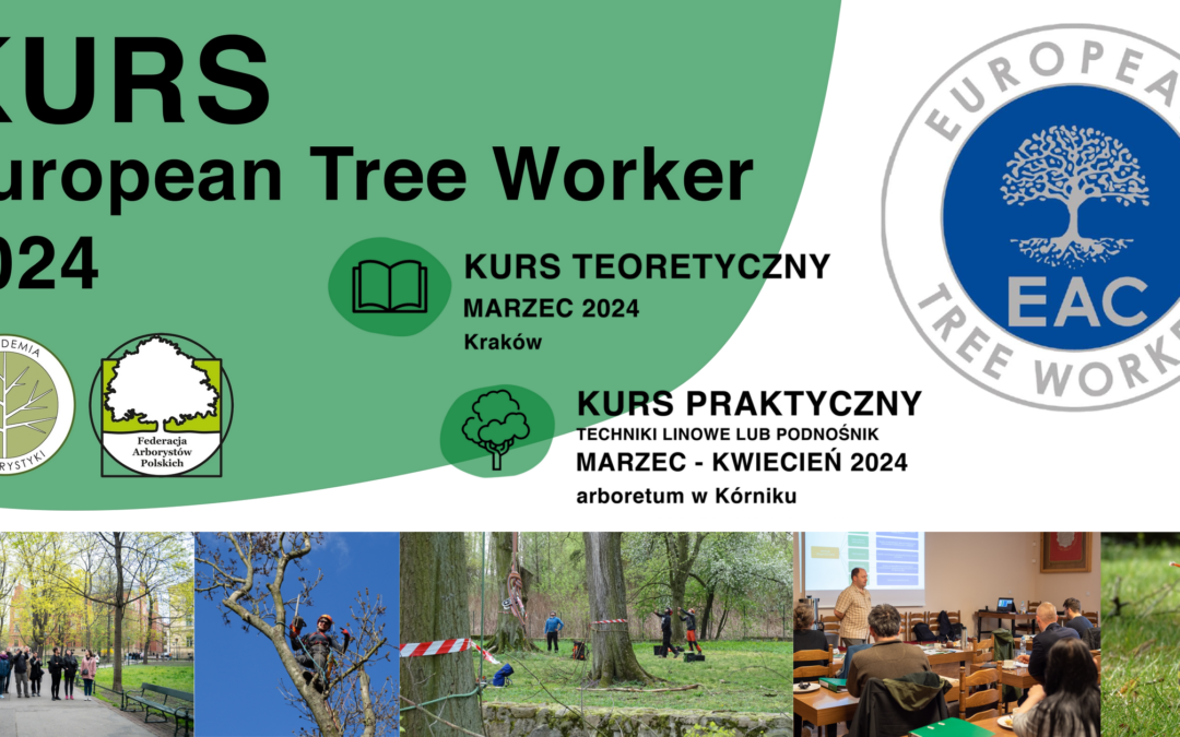 Kurs European Treeworker