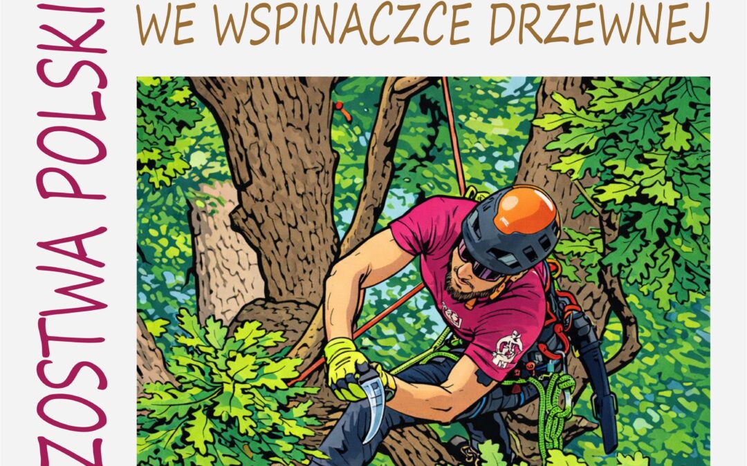 Mistrzostwa polski we wspinaczce drzewnej ptcc 2026